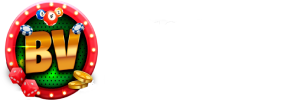 BINGOAOVIVE LOGO